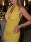 Neverine | Halter Neck Fitted Silhouette Midi Dress